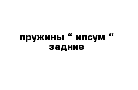 пружины “ ипсум “ задние